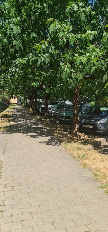 Appartement Ybs Apartman à Zalaegerszeg Extérieur photo
